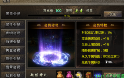 新开神途里面都有哪些会员类型？