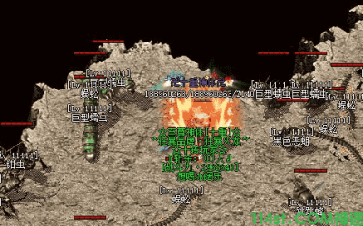 面对众多怪物道士使用哪些方式操作击杀？