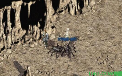 飞扬神途:在松鼠洞的传奇经历