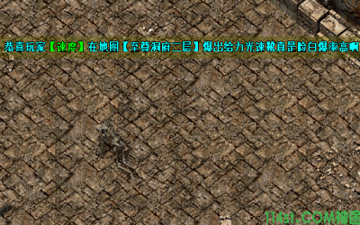 至尊洞府二层能出哪些稀有的装备